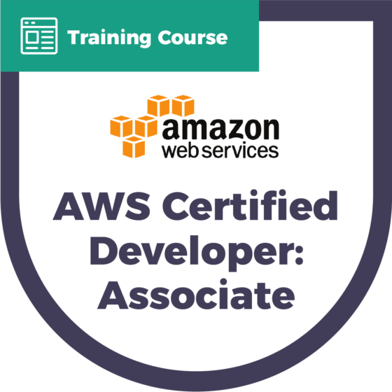 Amazon Web Services Certified Developer - Associate | Practice Test ...