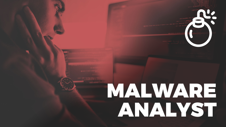 Malware Analyst