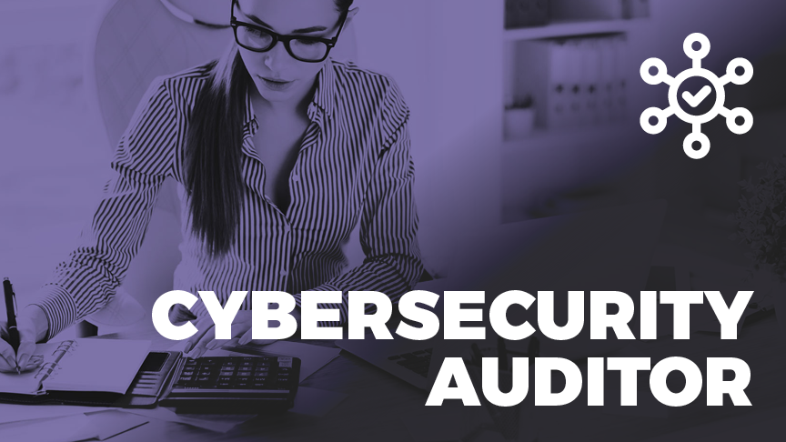 Cybersecurity Auditor