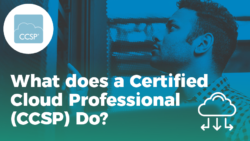 What Does A Certified Cloud Security Professional (CCSP) Do ...