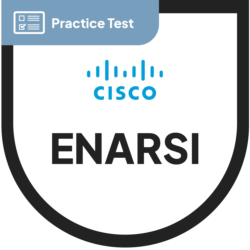 Cisco CCNP Implementing Cisco Enterprise Advanced Routing and Services ENARSI (300-410) | N2K certification Practice Test