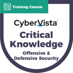 Critical Knowledge Offensive and Defensive Security