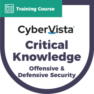 Critical Knowledge Offensive and Defensive Security