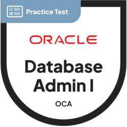 Oracle Database Admin I (1Z0-082) - N2K Practice Exam