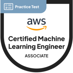 MLA-C01: AWS Certified Machine Learning Engineer - Associate | Practice Test